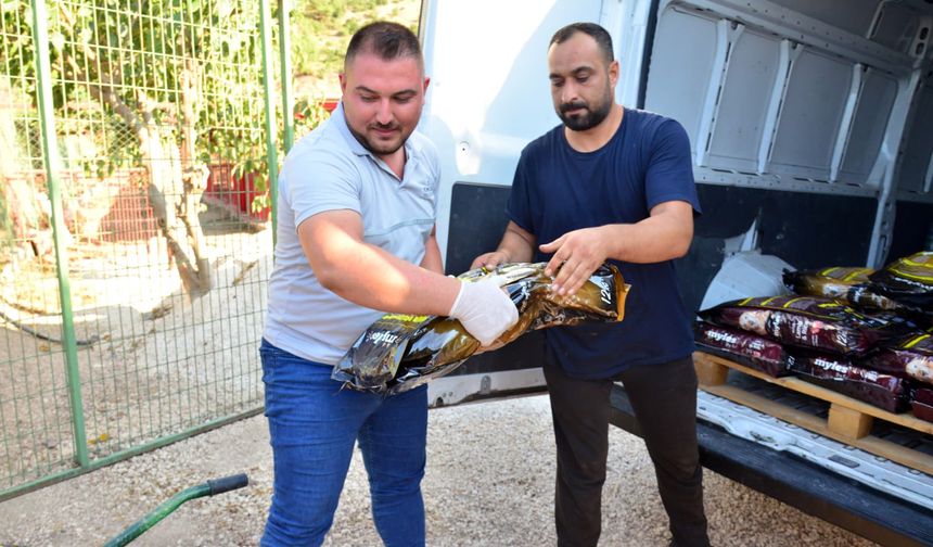 Kumluca’da ödül barınaktaki hayvanlara bağışlandı