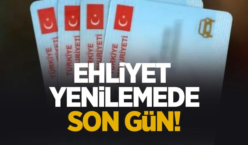 Ehliyet yenileme son tarihi. 2025 ücreti ve randevu