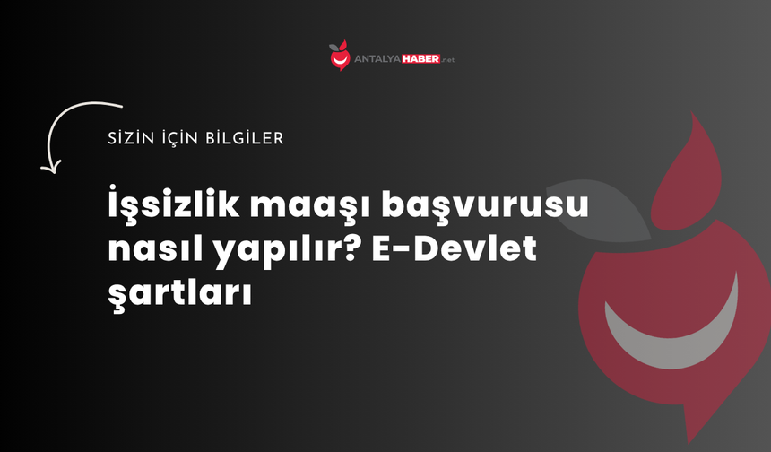 İşsizlik maaşı başvurusu nasıl yapılır? E-Devlet şartları