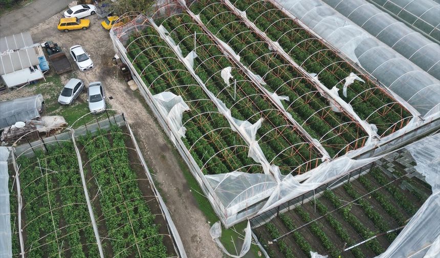 Antalya’da sağanak ve rüzgar seralarda hasara yol açtı