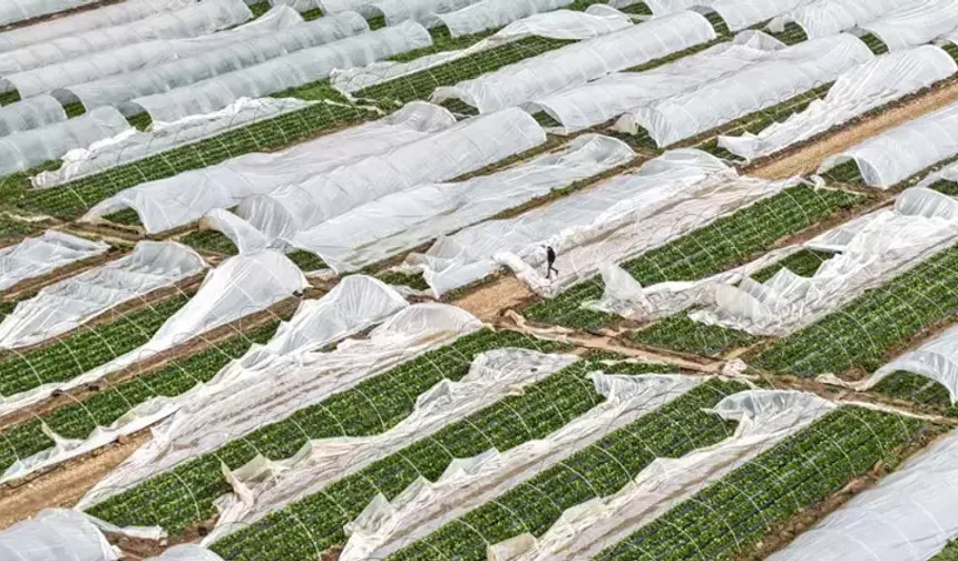 Antalya’daki hortum ve sel tarımı vurdu, fiyatlar arttı