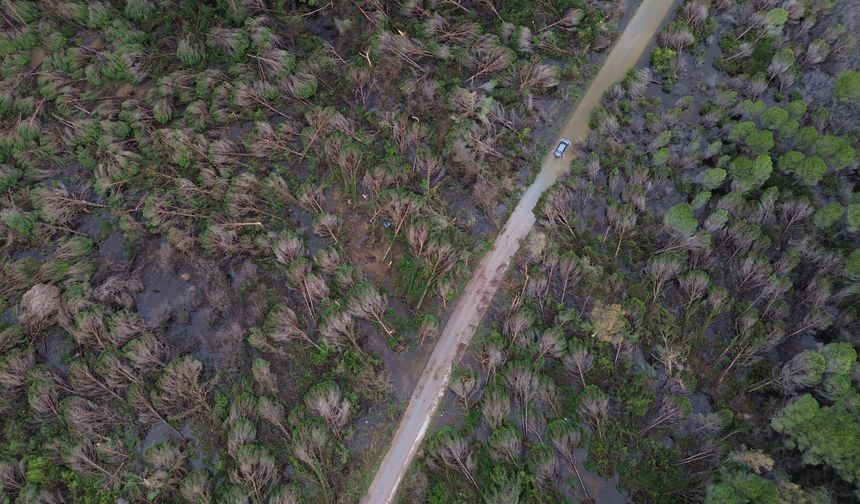 Aksu’daki hortumun yol açtığı hasar havadan görüntülendi