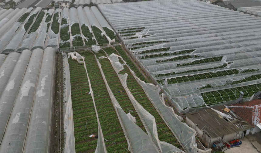 Demre’de hortumun vurduğu seralarda hasar tespiti başladı