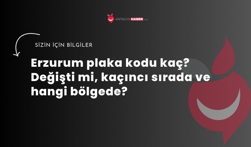 Erzurum plaka kodu kaç? Değişti mi, kaçıncı sırada ve hangi bölgede?