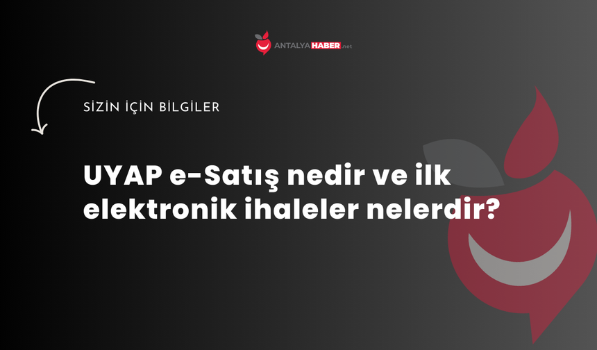UYAP e-Satış nedir ve ilk elektronik ihaleler nelerdir?