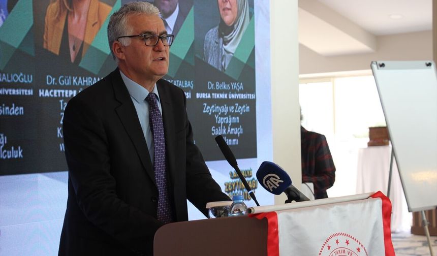 Antalya’da zeytinyağı kalite çalıştayı yapıldı