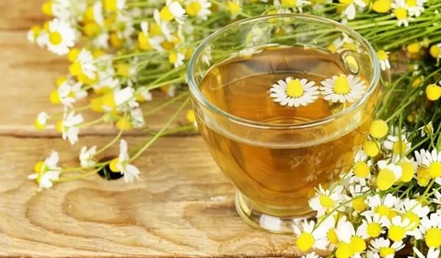 Bitki çayı idrar yolu enfeksiyonuna iyi gelir mi?