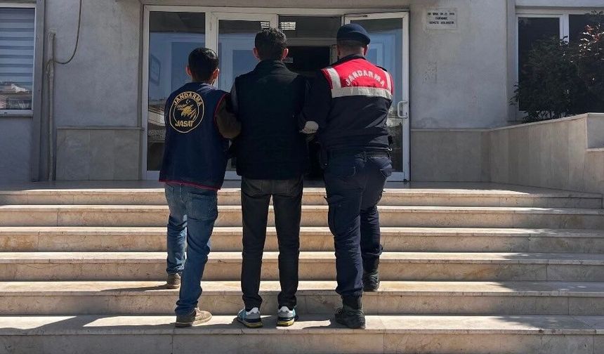 Antalya’da jandarma operasyonu: 367 kişi yakalandı