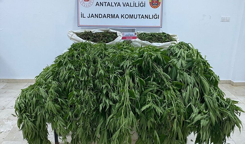 Serik’te uyuşturucu operasyonunda 1 kişi tutuklandı