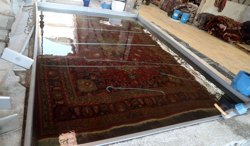 Antalya’da halı tarlaları ihracat için hazırlanıyor