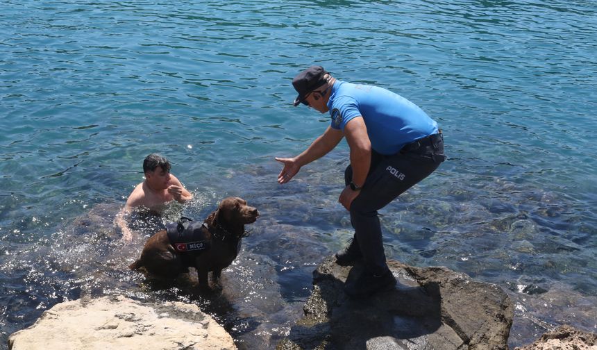 Deniz polisinin köpeği Miço boğulmalara karşı nöbette