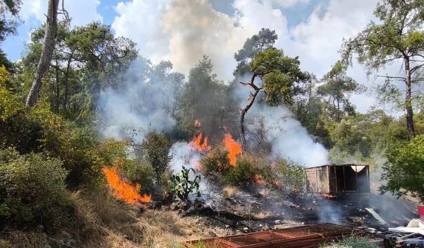 Kaş’taki orman yangınına havadan ve karadan müdahale sürüyor