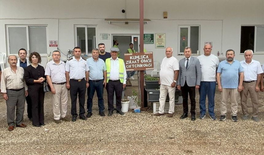 Antalya'da zeytin hasadı başladı