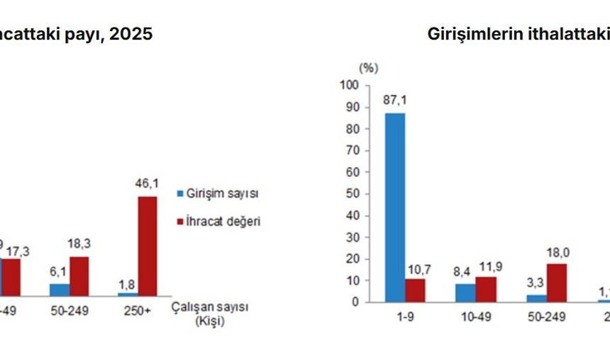 TÜİK: İhracatın yüzde 46'sını, ithalatın yüzde 59'unu büyük ölçekli girişimler yaptı